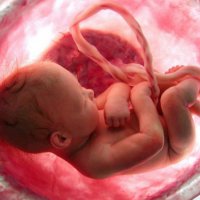 Анализ состояния эмбриона поможет женщинам успешно пройти ЭКО