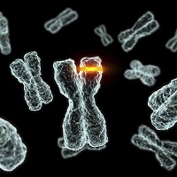 Бактерии способны «лечить» генетические мутации