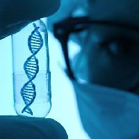 Резистентность рака простаты зависит от генов