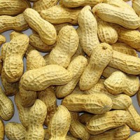 Аллергию на арахис у детей попробуют лечить пластырями