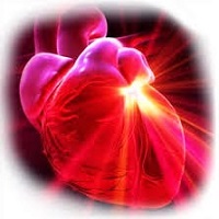 Рубцевание сердечной мышцы потенциально можно предотвратить
