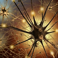 Ученые предложили лечить травмы мозга собственными нейронами
