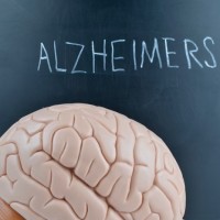Как тау-белок убивает нервные клетки и вызывает болезнь Альцгеймера?