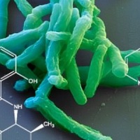 Обнаружен новый путь заражения туберкулезом