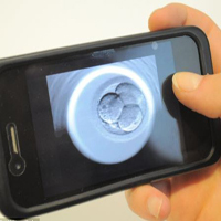 Инкубатор Embryoscope – «смотрящий за эмбрионами»
