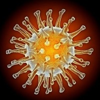 Искусственное «ускорение» мутаций вируса гриппа сделает вакцины эффективнее