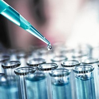 Клетки могут захватывать вирусы, препятствуя их распространению Клетки могут захватывать вирусы, препятствуя их распространению