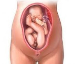 Ягодичное предлежание на 20 неделе беременности thumbnail
