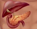 Эктопия ткани поджелудочной железы в желудке thumbnail