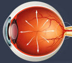 Для клинического течения открытоугольной глаукомы характерно thumbnail
