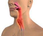 О разных методах полоскания горла с точки зрения доказательной медицины thumbnail