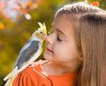 Как проявляется аллергия на птиц у детей thumbnail