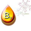 Витамин b12 анализ крови цена thumbnail