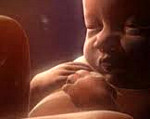 Внутриутробное развитие ребенка и хронические заболевания матери thumbnail