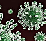 Терапия острых кишечных инфекций ротавирусной этиологии у детей thumbnail