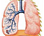 Диагностика пневмонии у детей з лет thumbnail