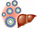 Что такое вирусемия гепатита в thumbnail