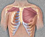 Аплазия грудной мышцы код мкб thumbnail