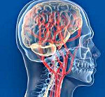Нейроциркуляторная дистония с гипертензивным синдромом thumbnail