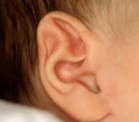 Развитие ушей у ребенка thumbnail