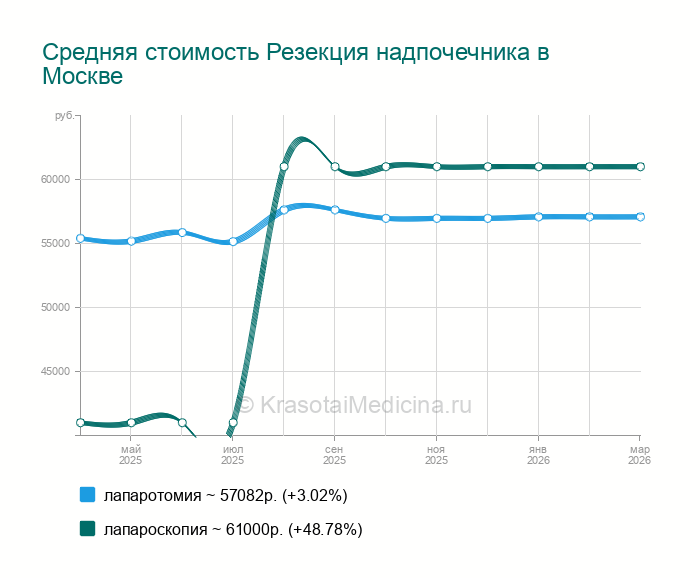 Резекция надпочечника — цены от 21000 руб. в Москве, 25 адресов