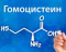 Гипергомоцистеинемия