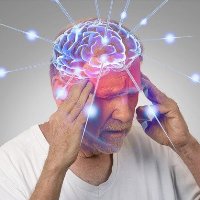 Двуязычие замедляет старение головного мозга Двуязычие замедляет старение головного мозга
