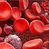 Анализ крови на тромбоциты