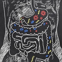 Возрастные изменения в микробиоме кишечника ухудшают состояние сосудов 