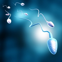 COVID-19 приводит к долгосрочному снижению качества спермы у мужчин