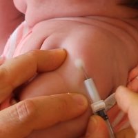 Вакцина БЦЖ защищает не только от туберкулеза Вакцина БЦЖ защищает не только от туберкулеза