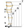 Подбор компрессионного трикотажа