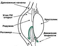 Открытоугольная глаукома