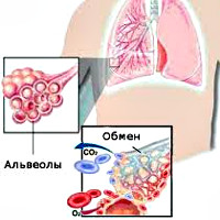 Лекция по теме Острая дыхательная недостаточность 