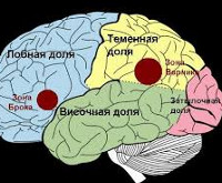 Реферат: Симптоматика афазии