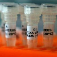 Американские вирусологи создали новую вакцину против вируса Зика