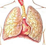Болезни органов дыхания