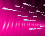 Лечение задержки семяизвержения в Саратове. Почему мало спермы, нет спермы?