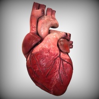 Два фермента по-разному влияют на сердечную недостаточность