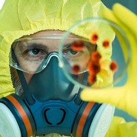 Ученые вычислили «живучесть» коронавируса на разных поверхностях Ученые вычислили «живучесть» коронавируса на разных поверхностях