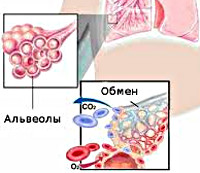 Реферат: Дыхательная недостаточность