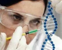 Гипергаммаглобулинемия что это такое. a15abdcfde0509f7be3fc2098814401f. Гипергаммаглобулинемия что это такое фото. Гипергаммаглобулинемия что это такое-a15abdcfde0509f7be3fc2098814401f. картинка Гипергаммаглобулинемия что это такое. картинка a15abdcfde0509f7be3fc2098814401f. Дисгаммаглобулинемические или гипергаммаглобулинемические пурпуры, известные уже давно, обособились с точки зрения их механизма и клинической сущности когда Вальденштрем дал описание макроглобулинемической пурпуры. Ее следует отличать от гипергаммаглобулинемических пурпур в течение злокачественных пролиферации, имеющих моноклинальный характер, с гиперсекрецией IgM, и от гипергаммаглобулинемических пурпур при реактивных пролиферациях, поликлонального характера на почве роста нескольких классов Ig, а также и на почве расстройств последних, разделенных на 7 типов дисгаммаглобулинемий, описанных за последние несколько лет (Berceanu). При последних в капиллярной стенке преципитируют макроагрегаты иммунных комплексов антиген-антитело, которые часто встречаются при автоиммунных заболеваниях, таких как красная волчанка или хронические селфпродолжающиеся васкулиты, как это описано в связи с хронической пурпурой Шенлейн-Геноха с эволюцией к висцерализации.
