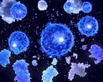 Цитокиновый шторм Цитокиновый шторм
