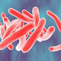 Витамин D помогает бороться с туберкулезом