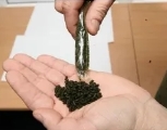Употребление насвая