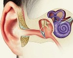 Аномалии среднего уха