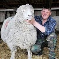 Животные помогают восстановиться после ЧМТ Животные помогают восстановиться после ЧМТ