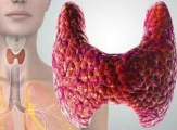 Аномалии развития щитовидной железы