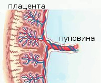 Нарушение маточно-плацентарного кровотока