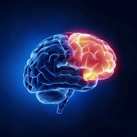 Учёные узнали, как именно кетамин помогает бороться с депрессией Учёные узнали, как именно кетамин помогает бороться с депрессией
